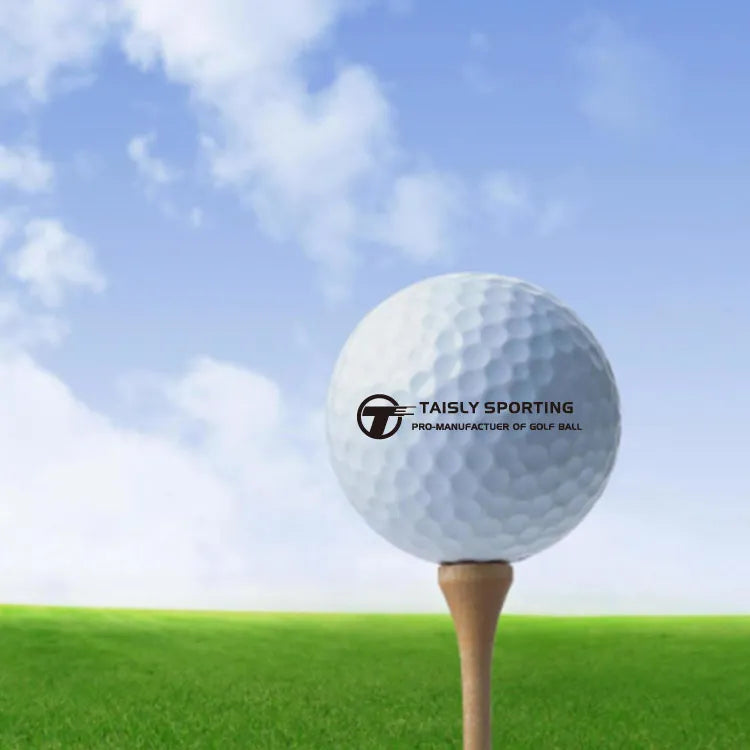 Hot Sale Quality OEM 2 Layer Golf Ball Custom 2 Piece Golf Balls with Logo